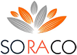 QLM Logo